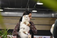 /album/fotogaleria-exposiciones3/a12791071-10208956205481843-8478384655176105095-n-1-jpg/